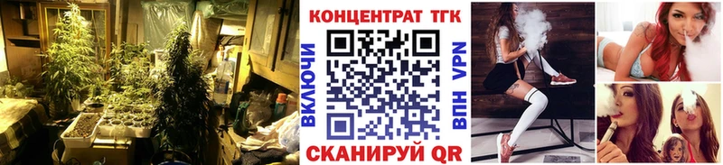 ТГК THC oil  Королёв 
