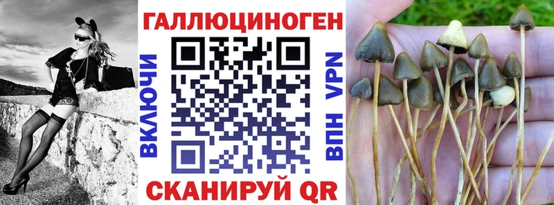 Псилоцибиновые грибы Psilocybine cubensis  shop Telegram  Королёв 